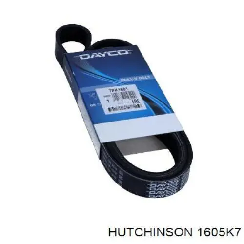 Ремінь генератора 1605K7 Hutchinson