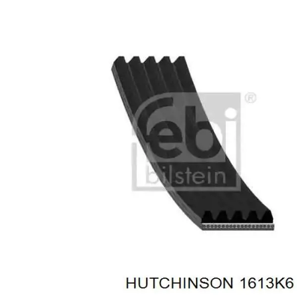 Ремінь генератора 1613K6 Hutchinson