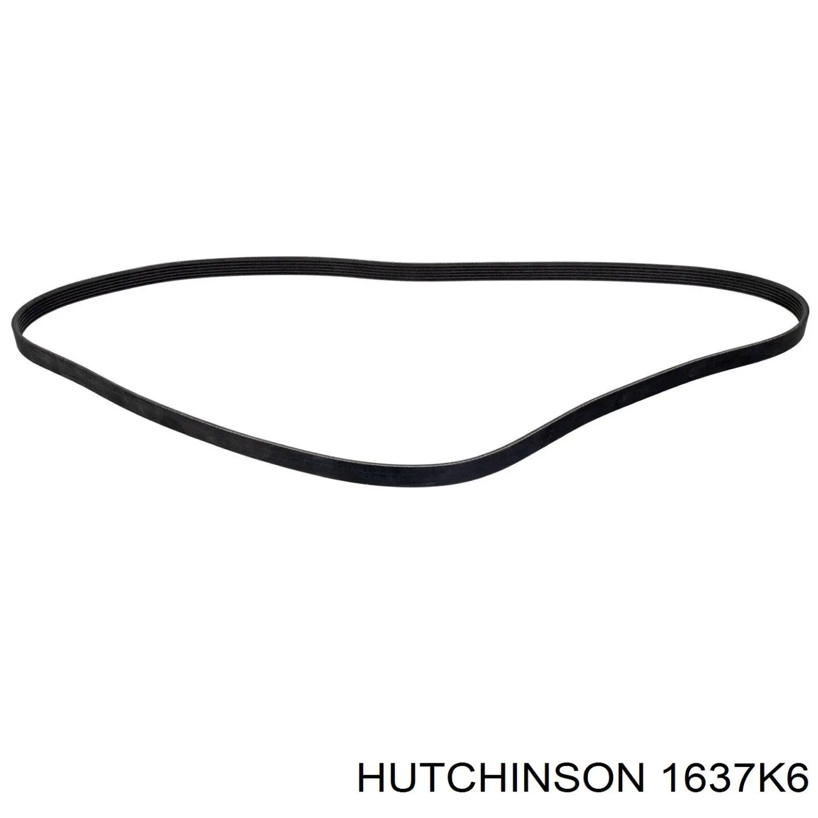 Клиновий ремінь Hutchinson 1637K6 ціна, від 13.91 USD