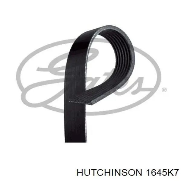 Клиновий ремінь Hutchinson 1645K7 ціна, від 17.31 USD