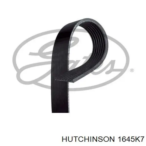 Купити 1645K7 Hutchinson Ремінь генератора