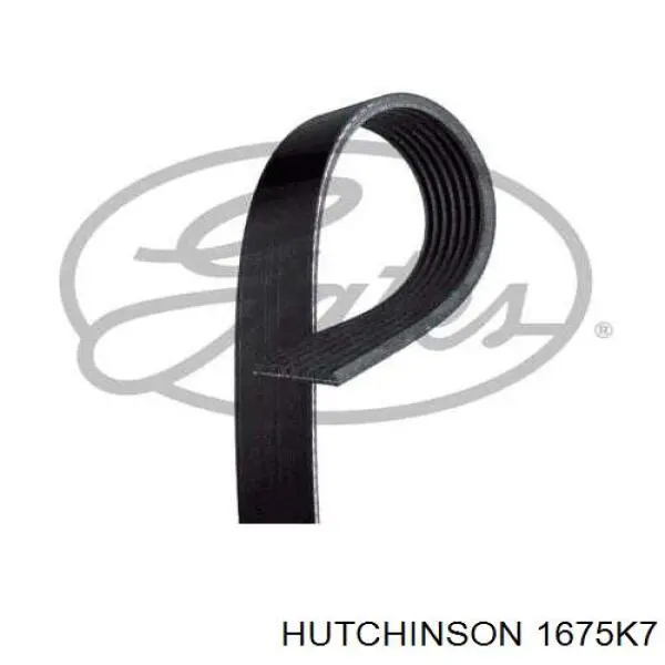 Клиновий ремінь Hutchinson 1675K7 ціна, від 14.51 USD