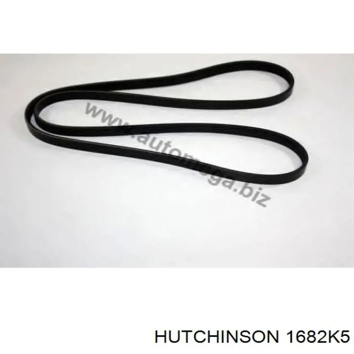 Клиновий ремінь Hutchinson 1682K5 ціна, від 11.30 USD