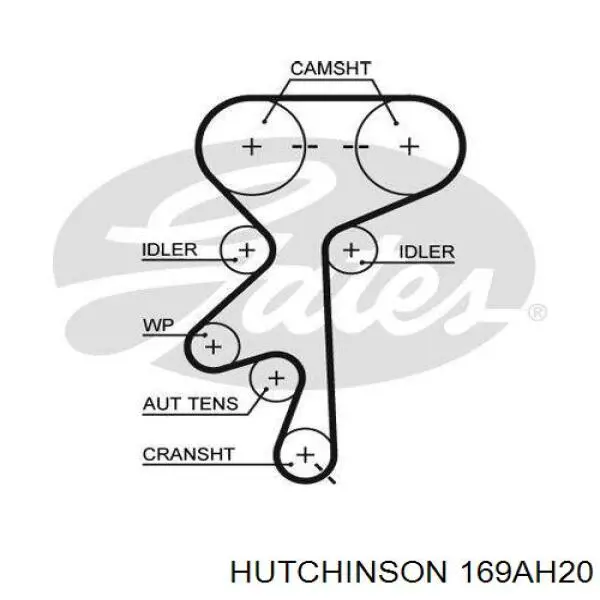 Ремінь ГРМ 169AH20 Hutchinson