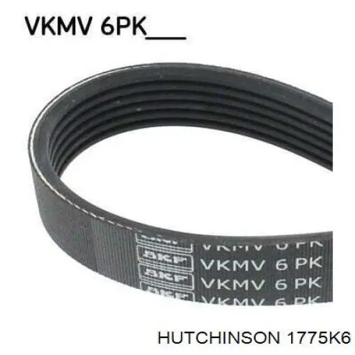 1775K6 Hutchinson Поліклиновий ремінь