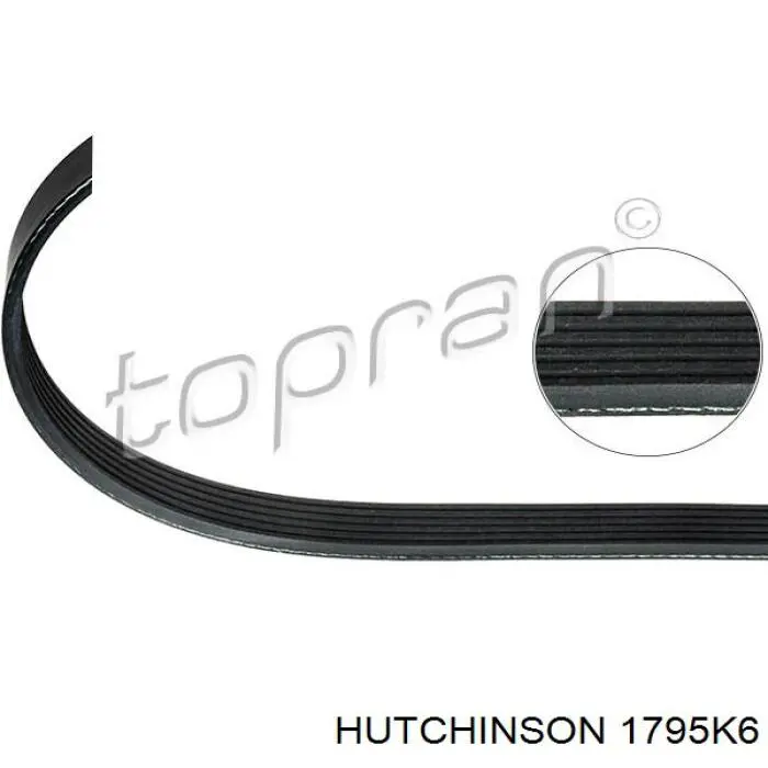 Купити 1795K6 Hutchinson Ремінь генератора