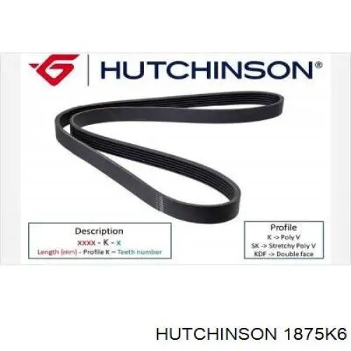 Клиновий ремінь Hutchinson 1875K6 ціна, від 14.37 USD