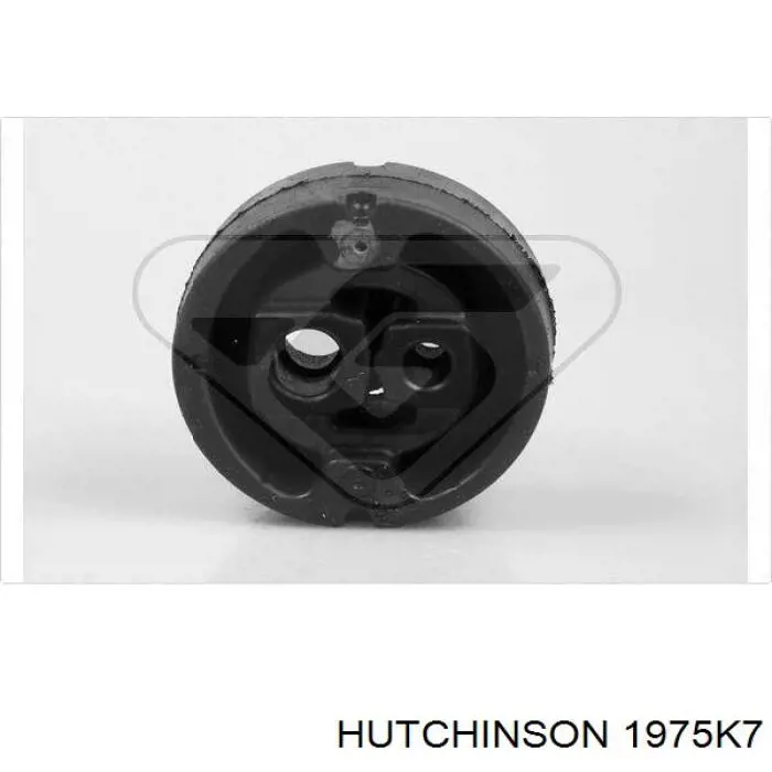 Ремінь генератора 1975K7 Hutchinson