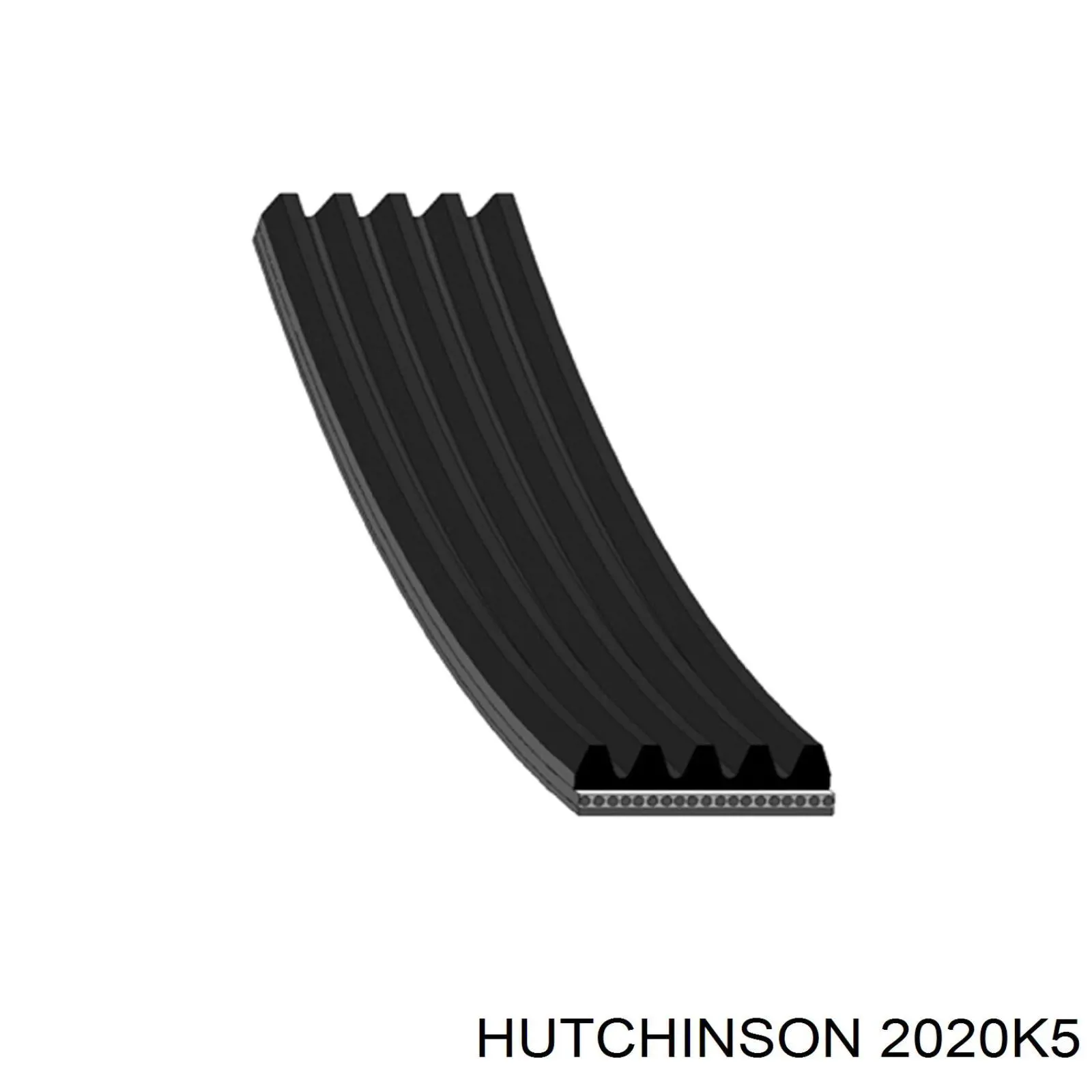 Клиновий ремінь Hutchinson 2020K5 ціна, від 13.64 USD
