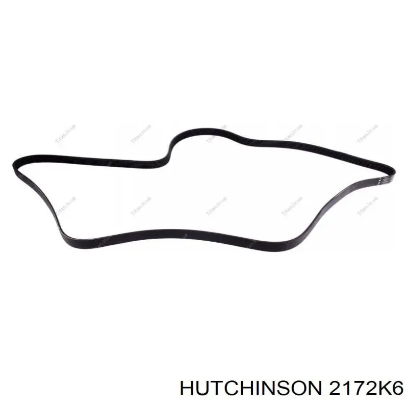 Купити 4L2Z8620EA Ford Ремінь генератора
