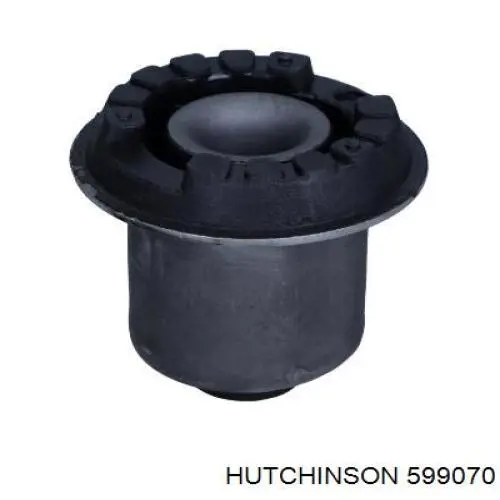 Купити 599070 Hutchinson Сайлентблок задньої балки
