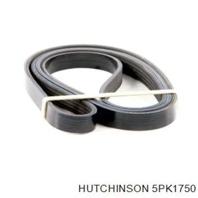 Клиновий ремінь Hutchinson 5PK1750 ціна, від 12.07 USD