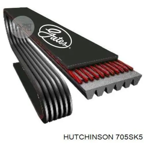 Купити 705SK5 Hutchinson Ремінь генератора