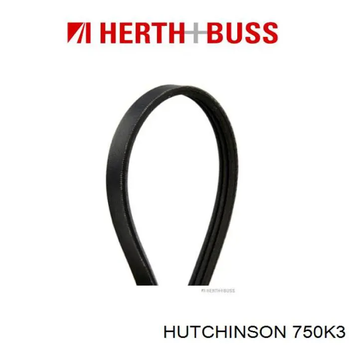 Купити 750K3 Hutchinson Ремінь генератора