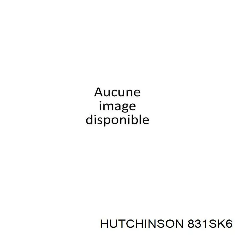 831SK6 Hutchinson Поліклиновий ремінь