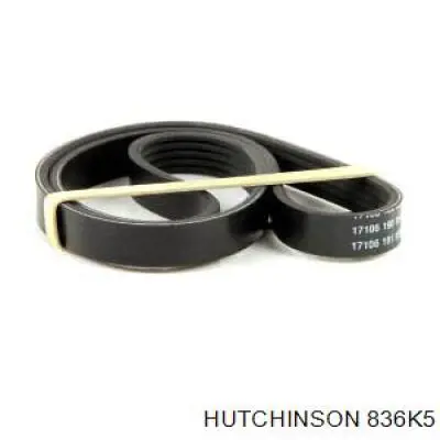 Купити 836K5 Hutchinson Ремінь генератора