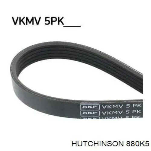 Ремінь генератора 880K5 Hutchinson