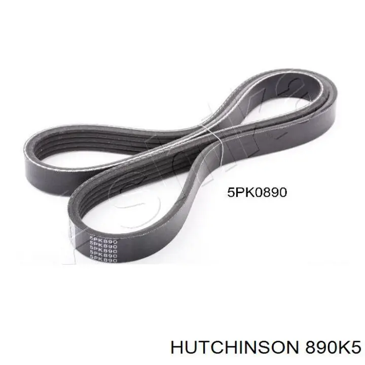 Купити 890K5 Hutchinson Ремінь генератора