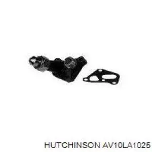 AV10LA1025 Hutchinson Поліклиновий ремінь