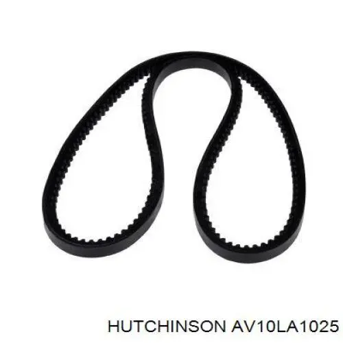 Купити AV10LA1025 Hutchinson Ремінь генератора