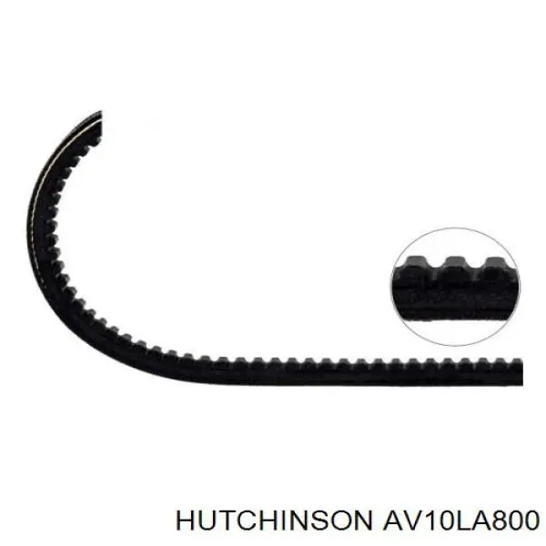 Купити AV10LA800 Hutchinson Ремінь генератора
