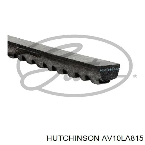 AV10LA815 Hutchinson Ремень генератора (L=813 мм)