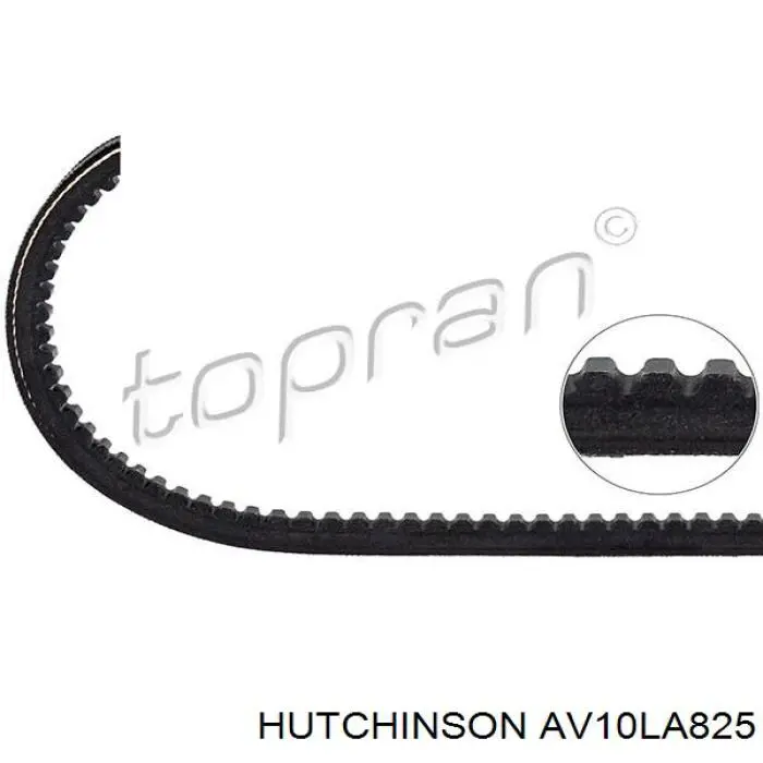 Ремінь генератора AV10LA825 Hutchinson