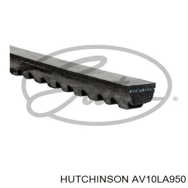 Купити AV10LA950 Hutchinson Ремінь генератора