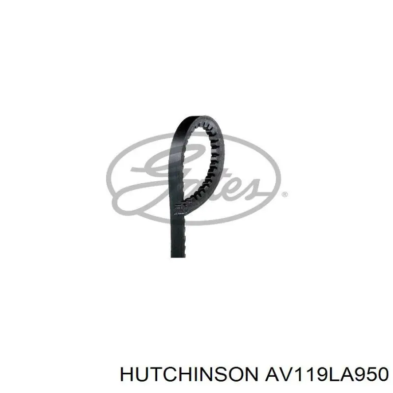 Ремінь генератора AV119LA950 Hutchinson