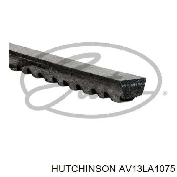 AV13LA1075 Hutchinson Поліклиновий ремінь