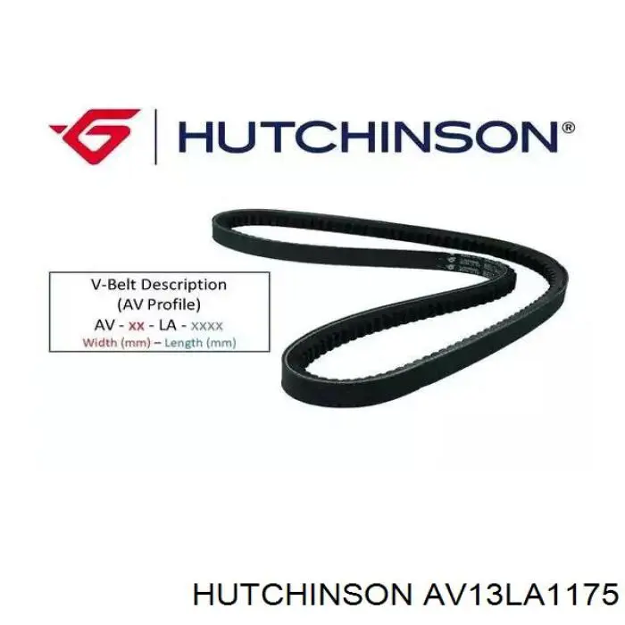 Купити AV13LA1175 Hutchinson Ремінь генератора
