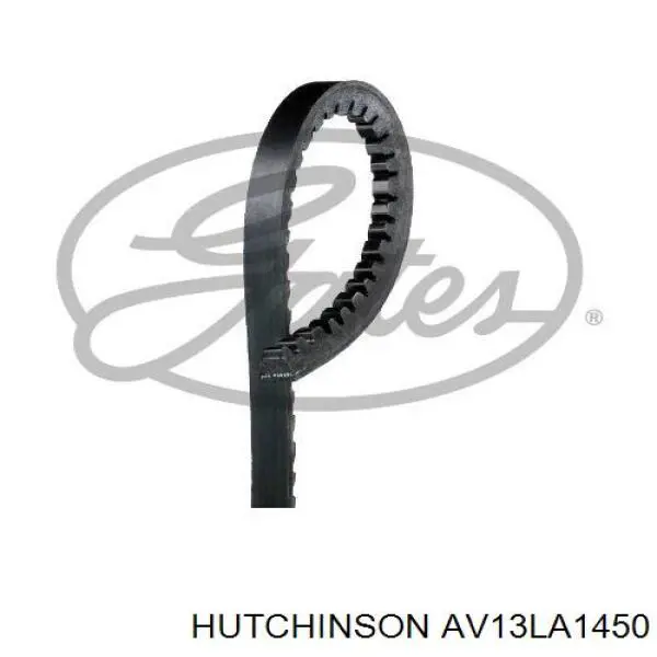 AV13LA1450 Hutchinson Поліклиновий ремінь