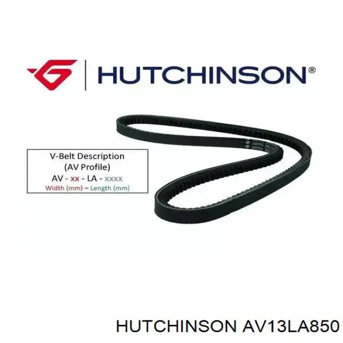 Купити AV13LA850 Hutchinson Ремінь генератора