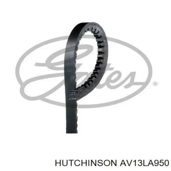 AV13LA950 Hutchinson Поліклиновий ремінь