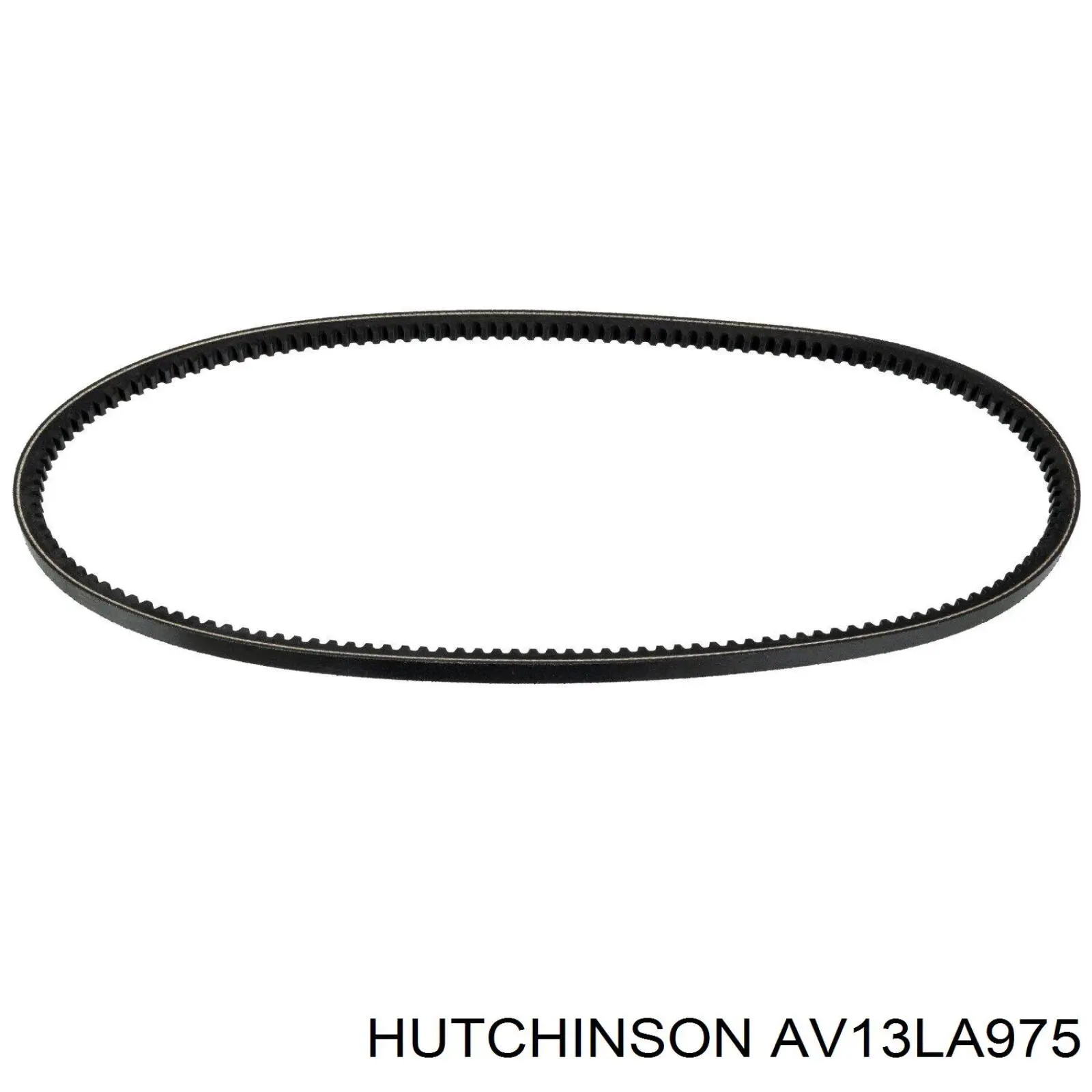 Купити AV13LA975 Hutchinson Ремінь генератора