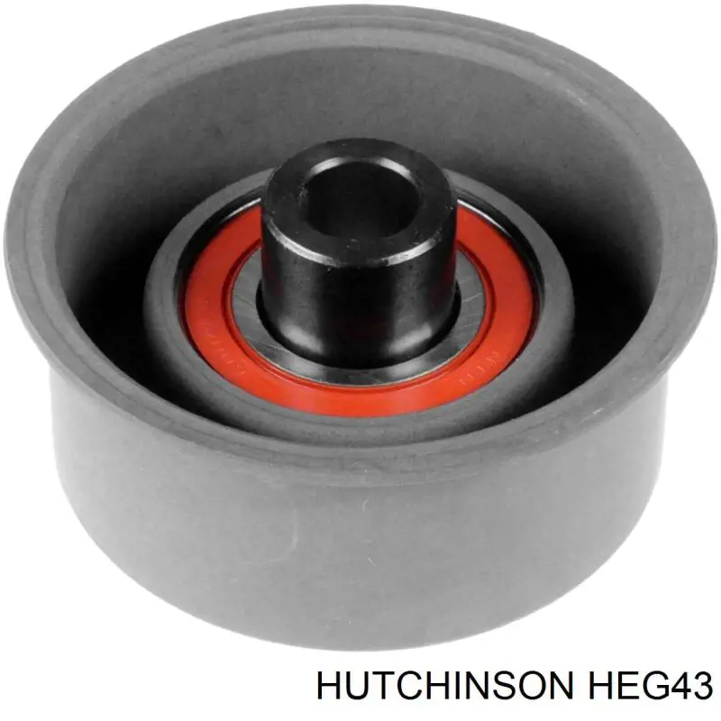 Купити HEG43 Hutchinson Ролик паразитний ГРМ