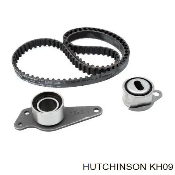 Комплект ГРМ 8671018694 Renault (RVI)