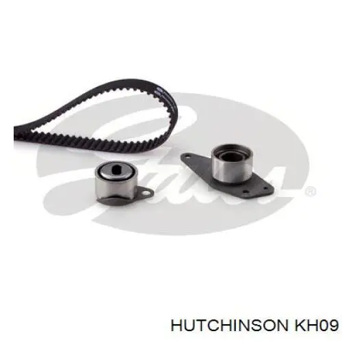 Комплект ГРМ Renault (RVI) 8671018694 ціна, від 58.02 USD