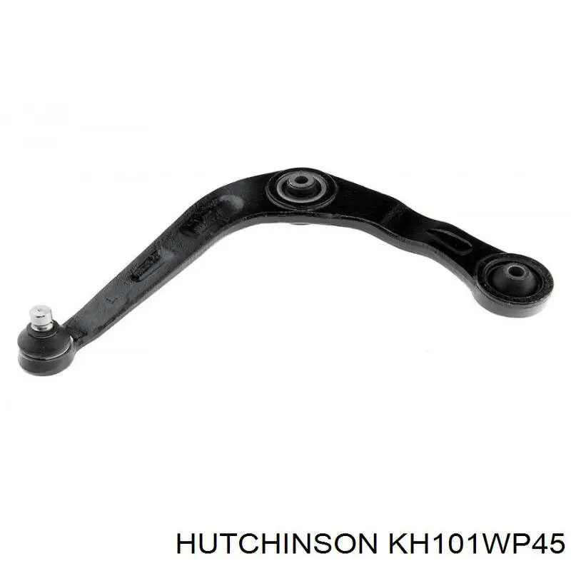 KH101WP45 Hutchinson Ремінь ГРМ, комплект