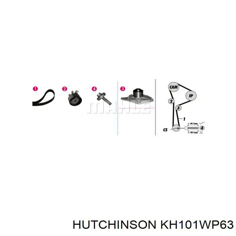 KH101WP63 Hutchinson Ремінь ГРМ, комплект