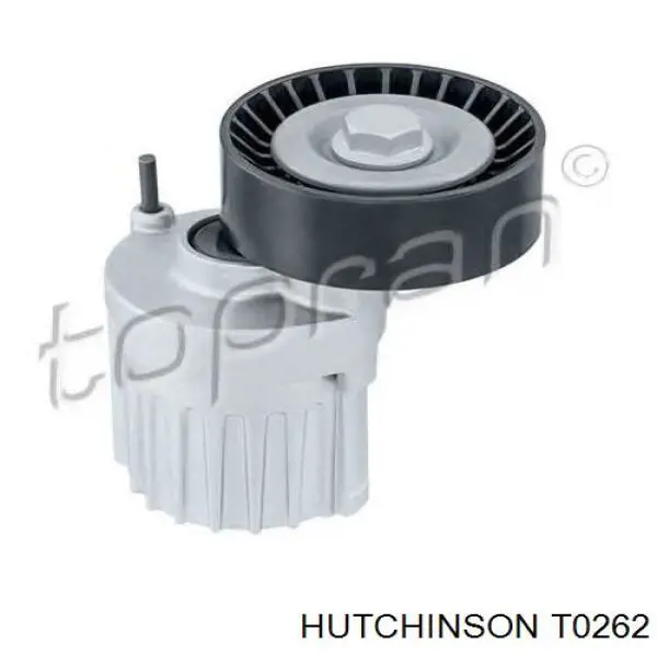 Купити T0262 Hutchinson Натягувач приводного ременя