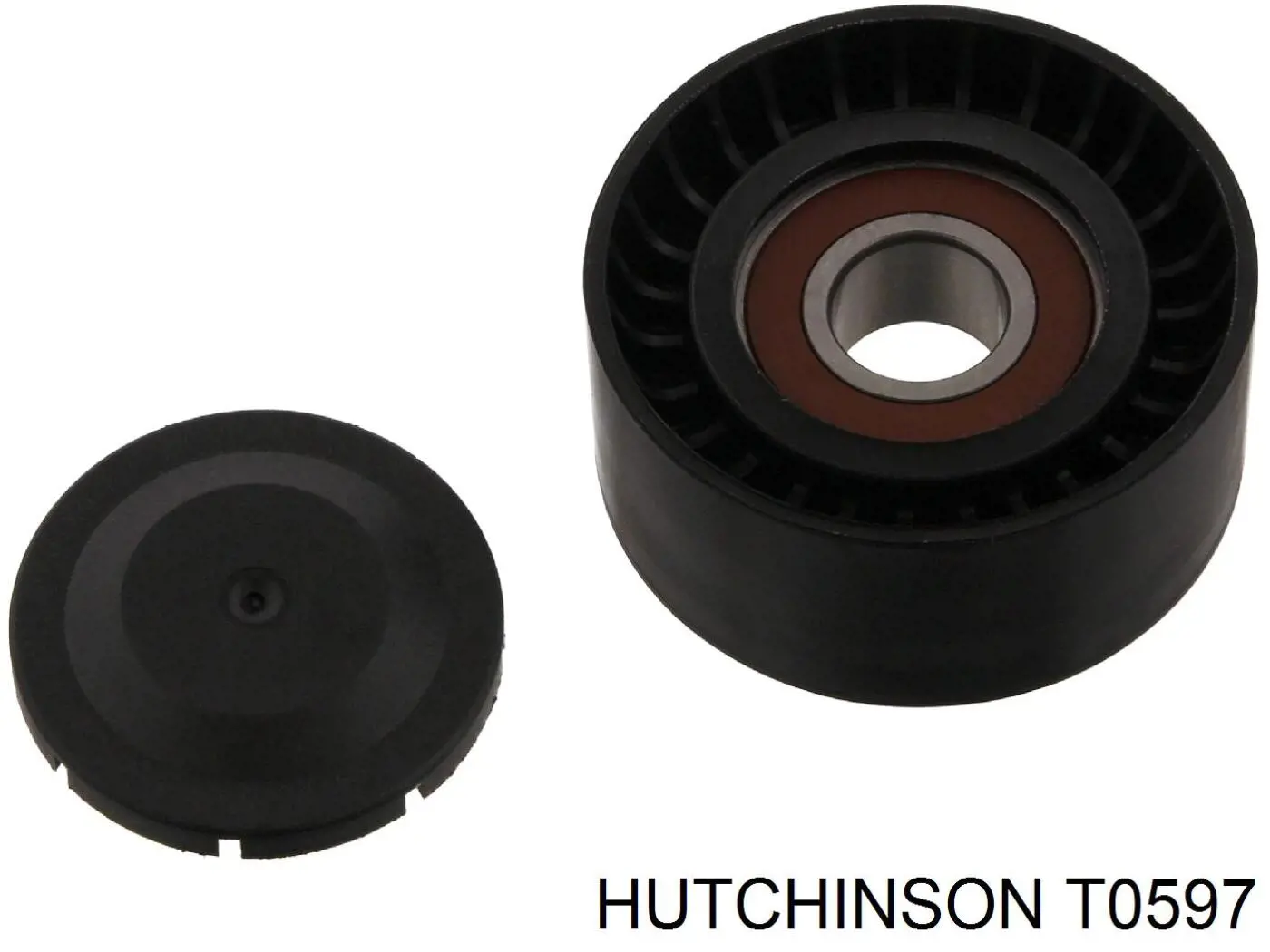 Ролик приводного ременя, паразитний T0597 Hutchinson