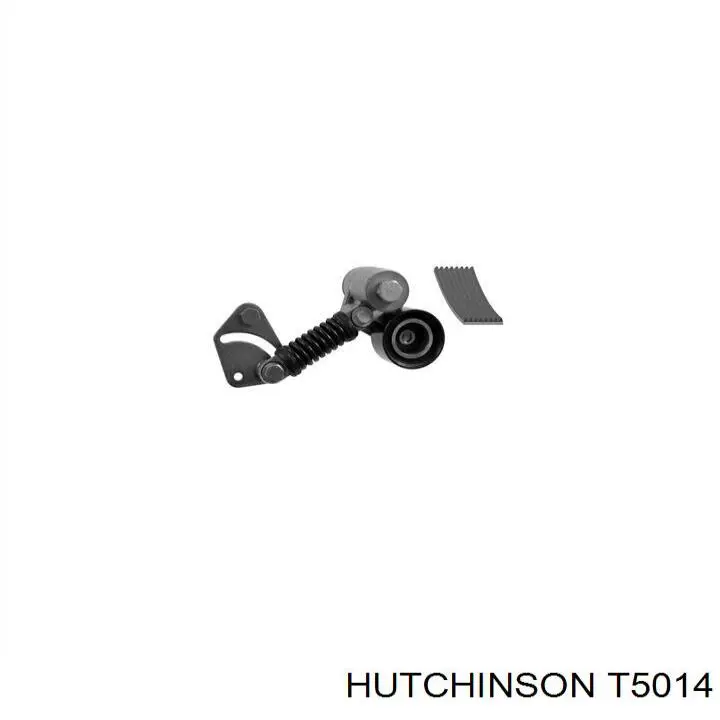 Купити T5014 Hutchinson Натягувач приводного ременя