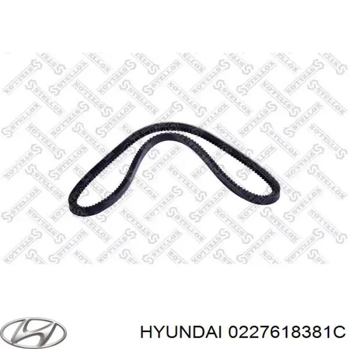 Ремінь приводний, агрегатів 0227618381C Hyundai/Kia