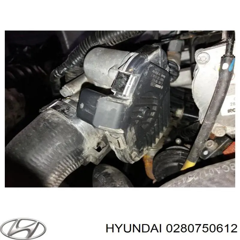 Блок дросельної заслінки Hyundai/Kia 351002A600FFF ціна, від 41.53 USD
