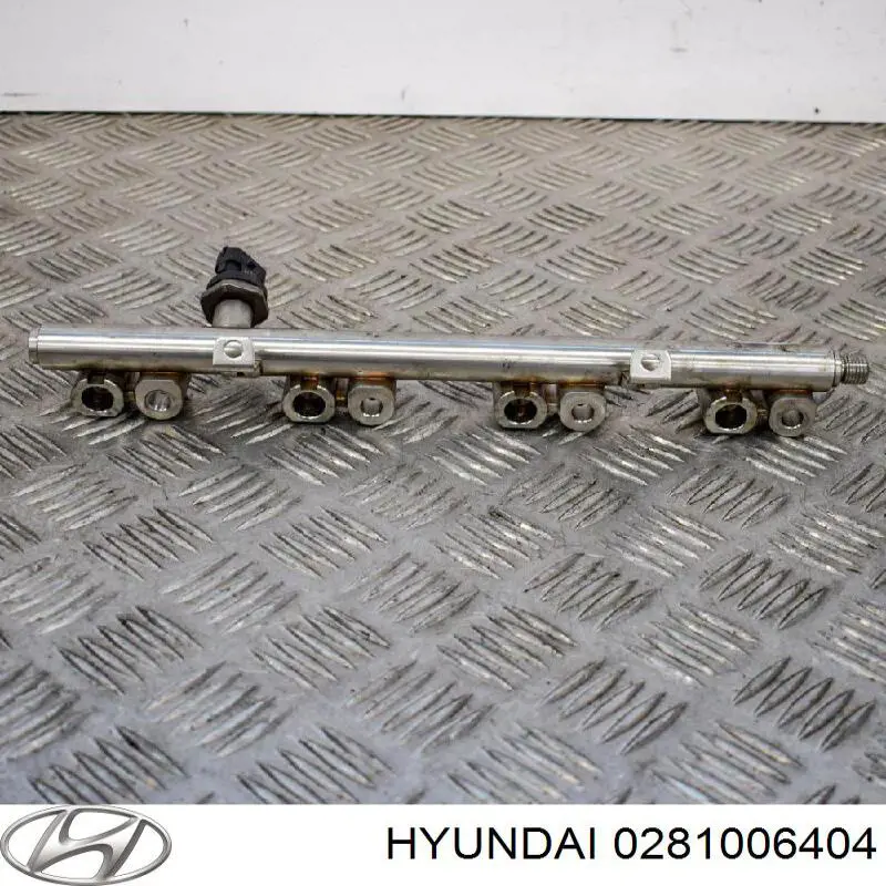  0281006404 Hyundai/Kia