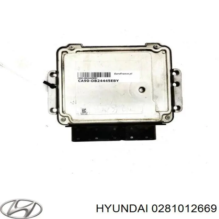 0281012669 Hyundai/Kia Блок електронного управління