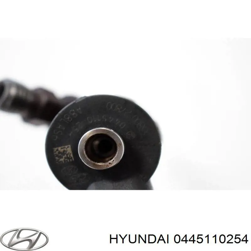 Паливні форсунки на Hyundai Santa Fe II 