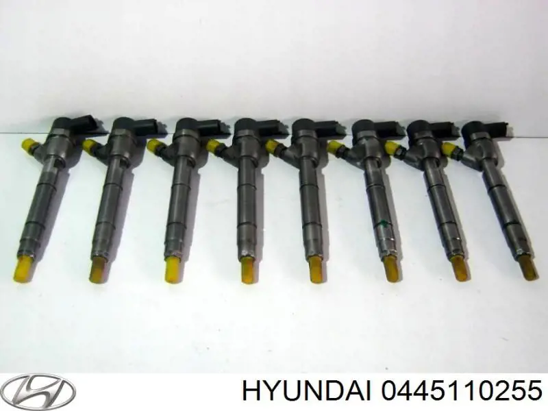 Паливні форсунки на Hyundai Elantra HD