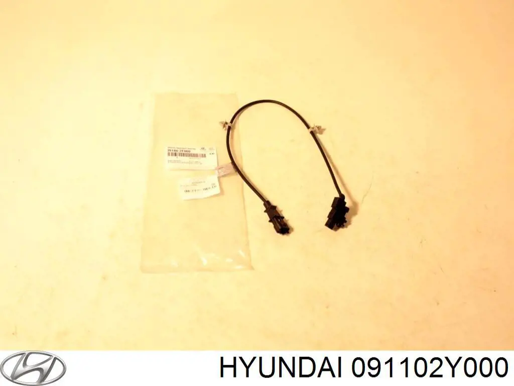  091102Y000 Hyundai/Kia